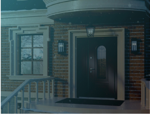 Двери для частных домов Двери для частных домов