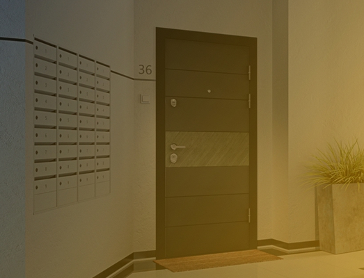 Двери в квартиру Двери в квартиру